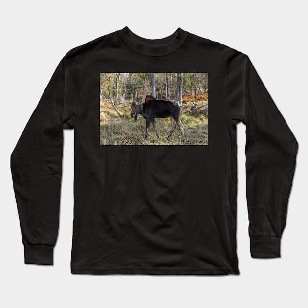 Moose in the fall woods Long Sleeve T-Shirt by josefpittner